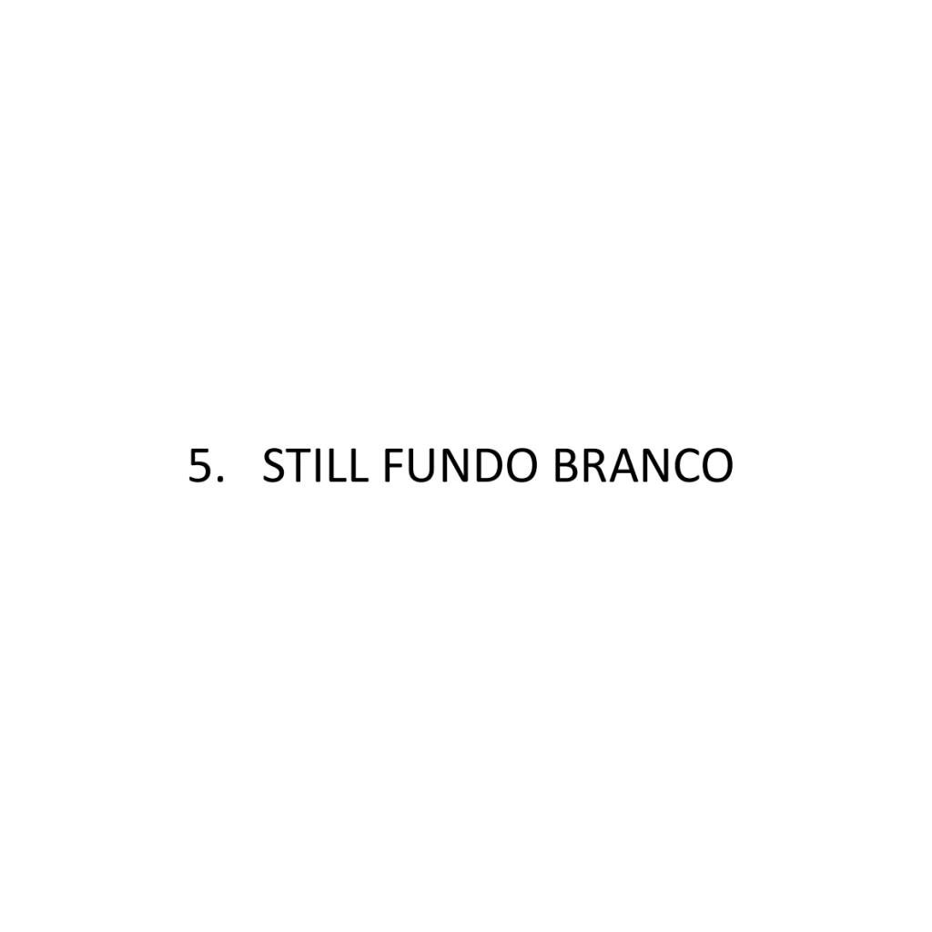 Obra de Ana Lomba de Carvalho Seixas