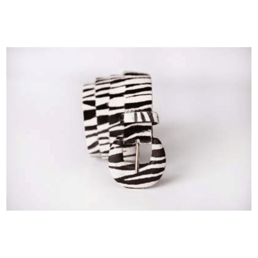 Obra de Ana Lomba de Carvalho Seixas