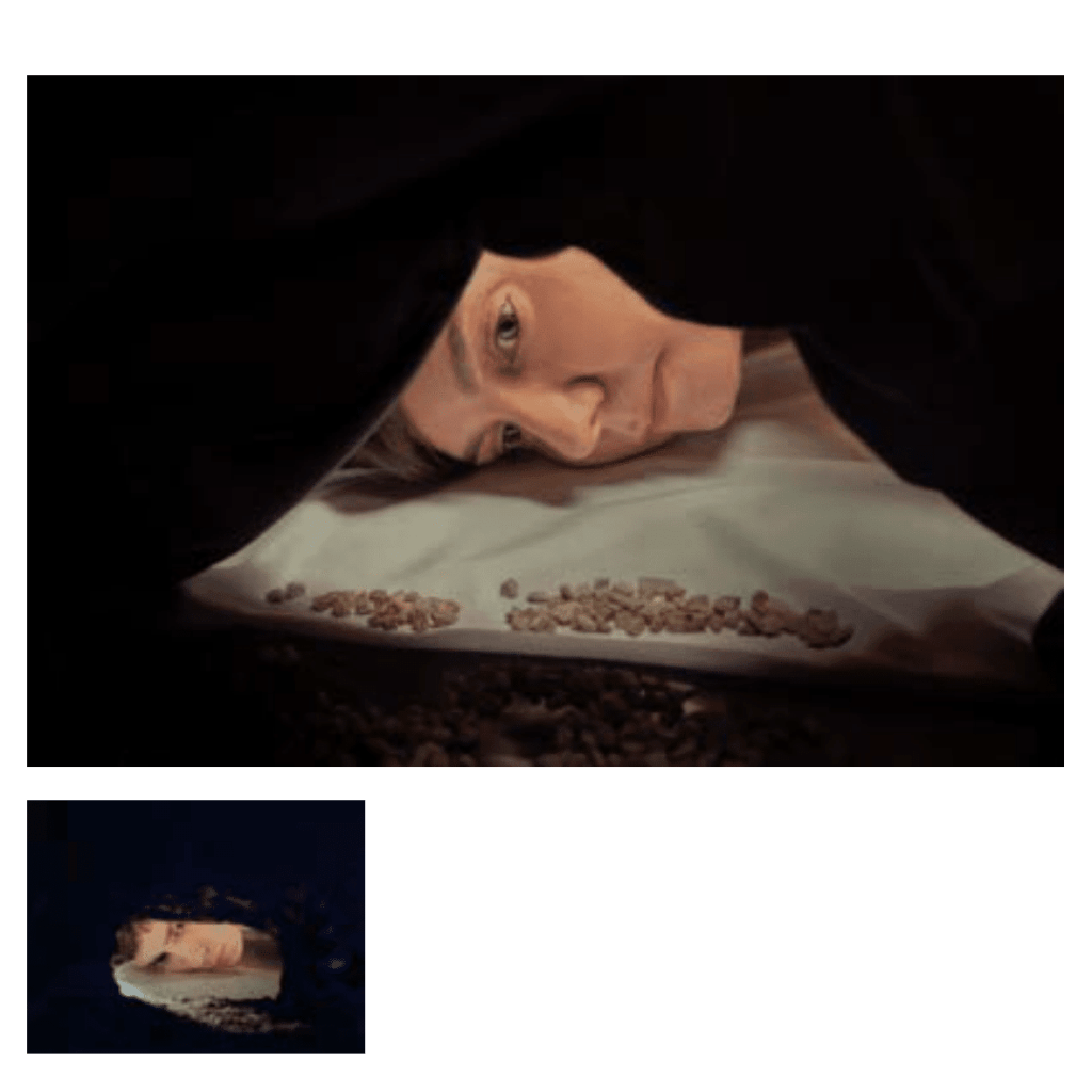 Obra de Ana Lomba de Carvalho Seixas