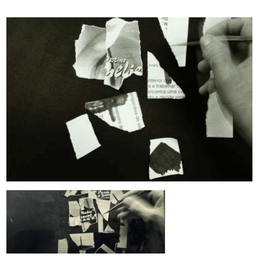 Obra de Ana Lomba de Carvalho Seixas