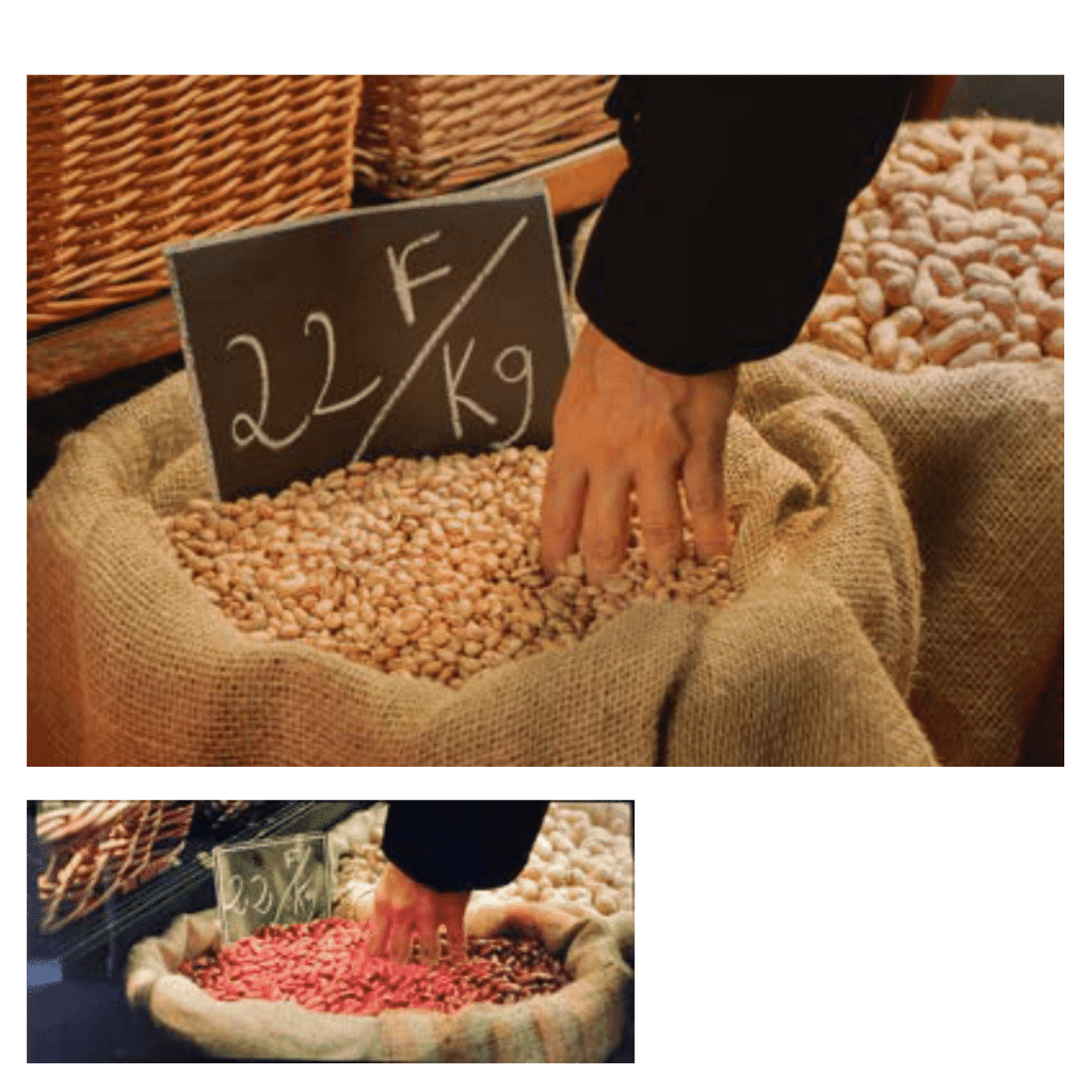 Obra de Ana Lomba de Carvalho Seixas