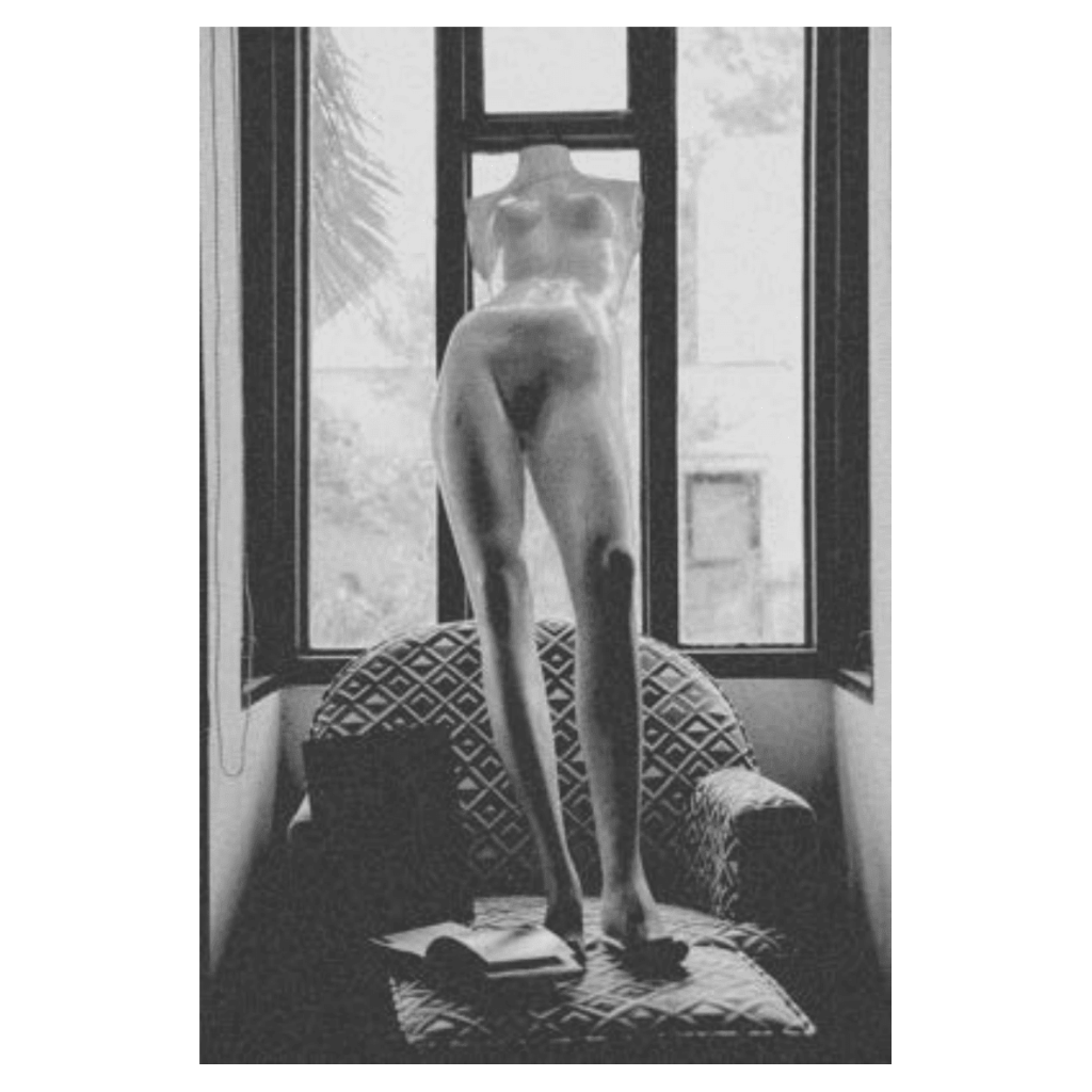 Obra de Ana Lomba de Carvalho Seixas