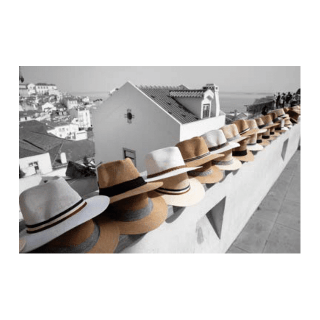 Obra de Ana Lomba de Carvalho Seixas