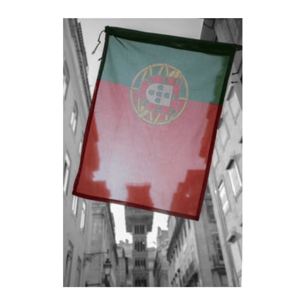 Obra de Ana Lomba de Carvalho Seixas