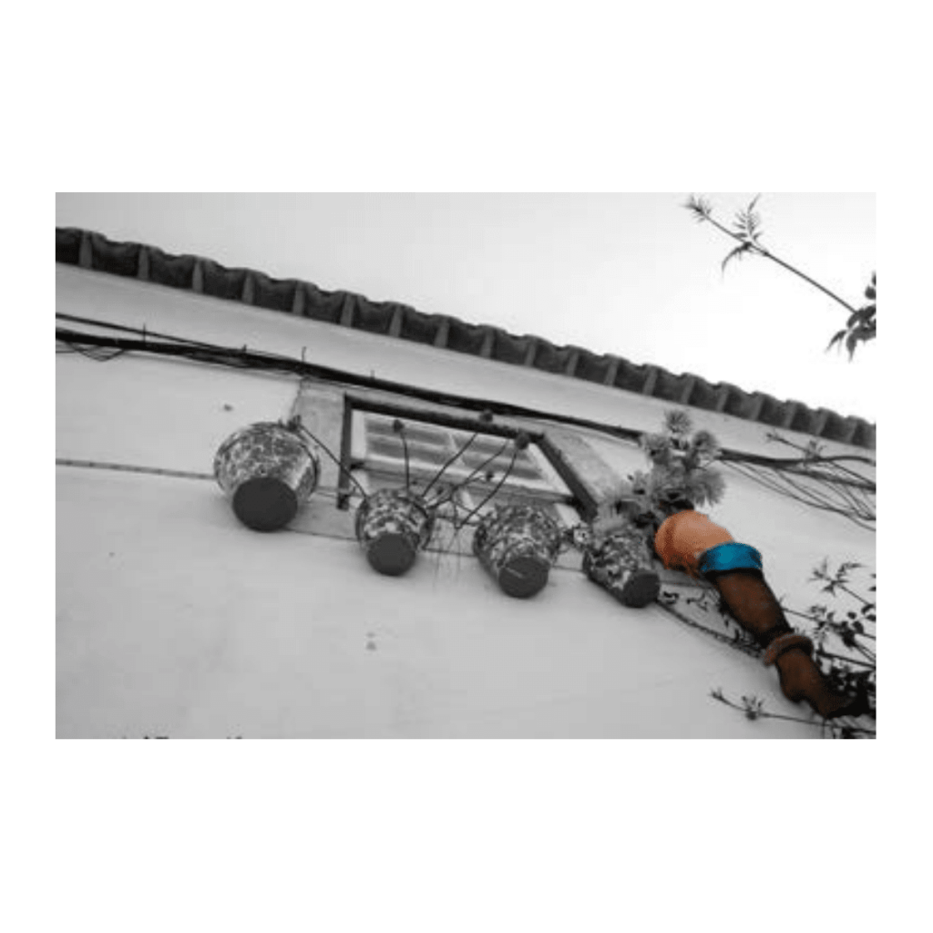 Obra de Ana Lomba de Carvalho Seixas