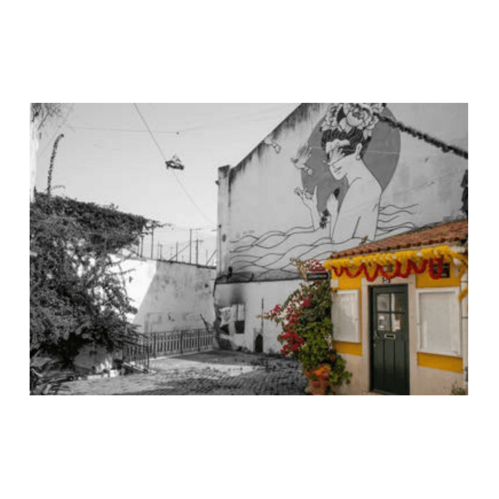 Obra de Ana Lomba de Carvalho Seixas