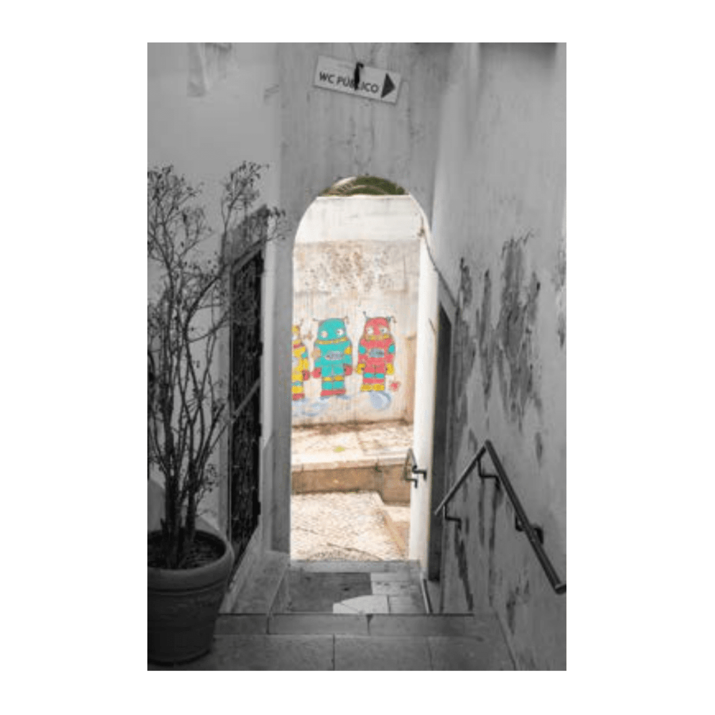 Obra de Ana Lomba de Carvalho Seixas