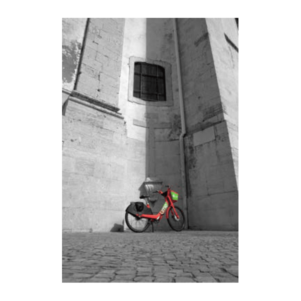 Obra de Ana Lomba de Carvalho Seixas