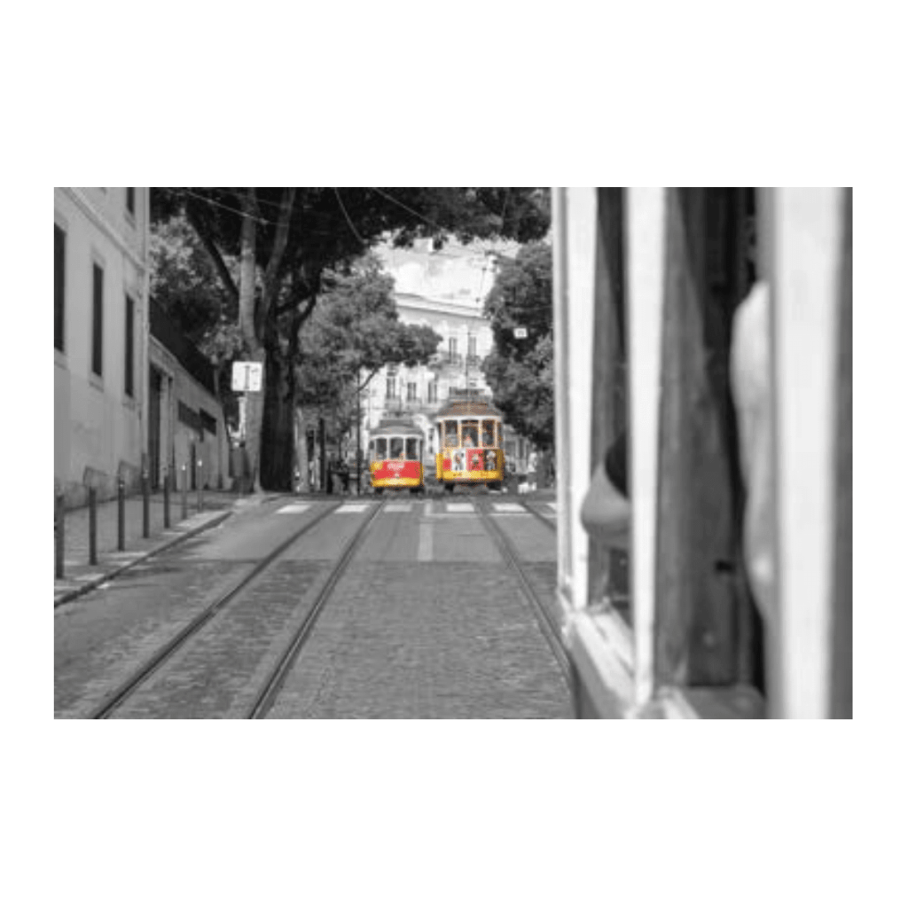 Obra de Ana Lomba de Carvalho Seixas