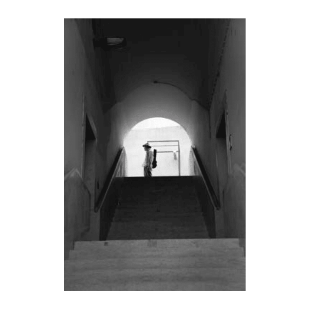 Obra de Ana Lomba de Carvalho Seixas