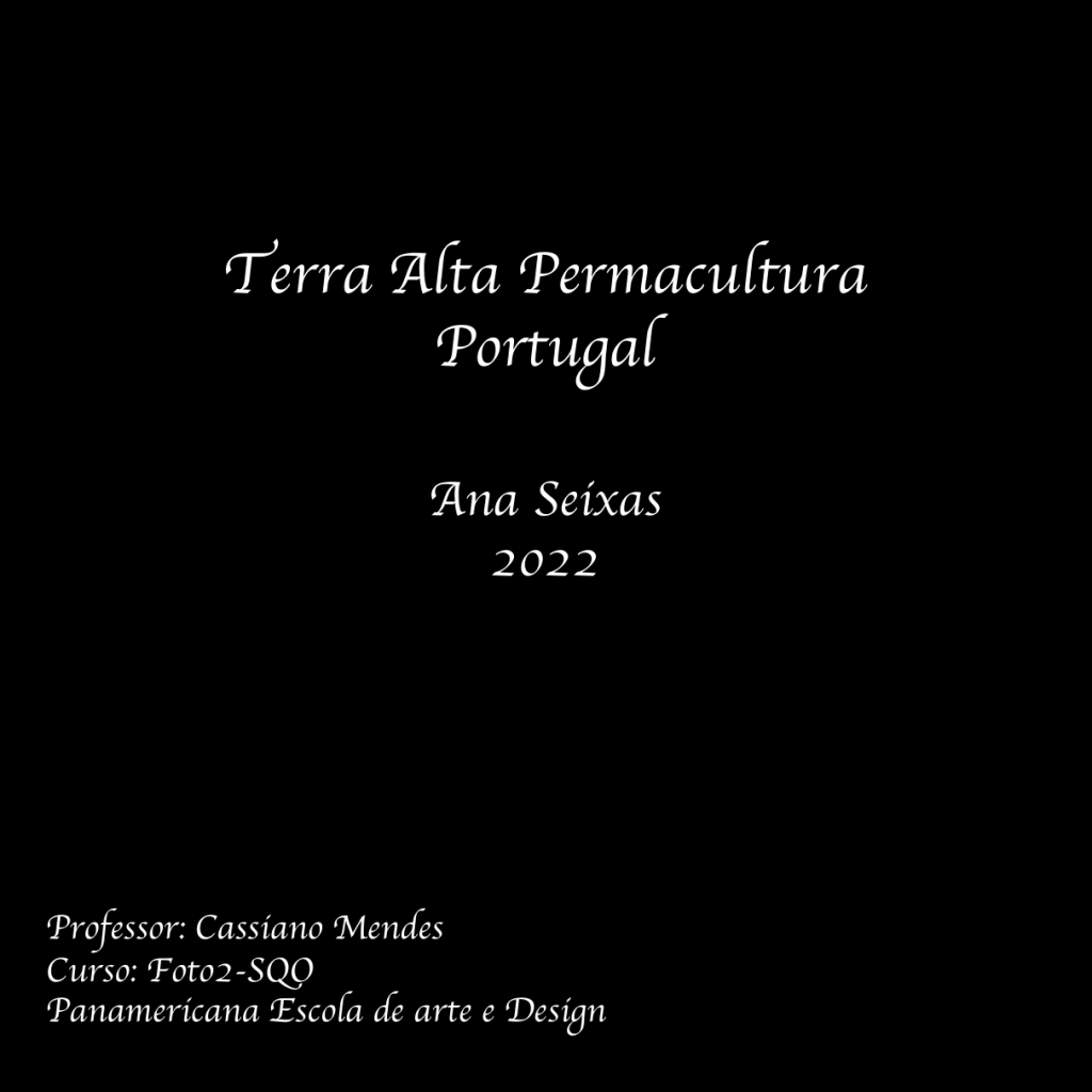 Obra de Ana Lomba de Carvalho Seixas