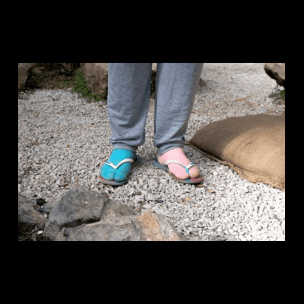 Obra de Ana Lomba de Carvalho Seixas