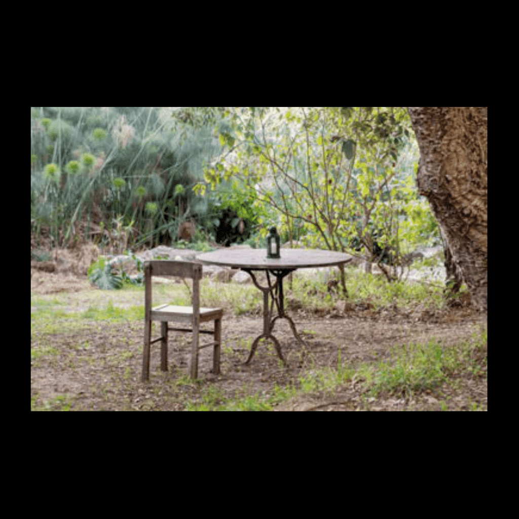 Obra de Ana Lomba de Carvalho Seixas