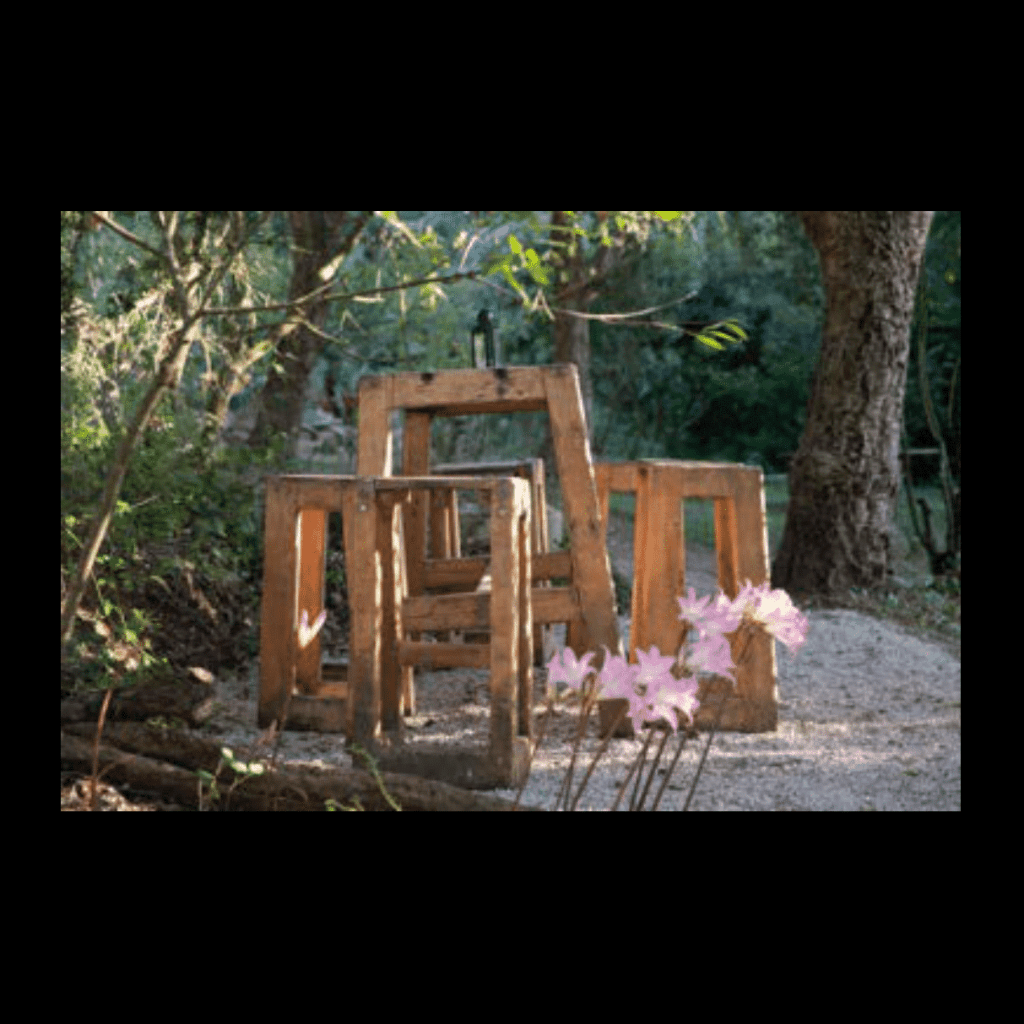 Obra de Ana Lomba de Carvalho Seixas