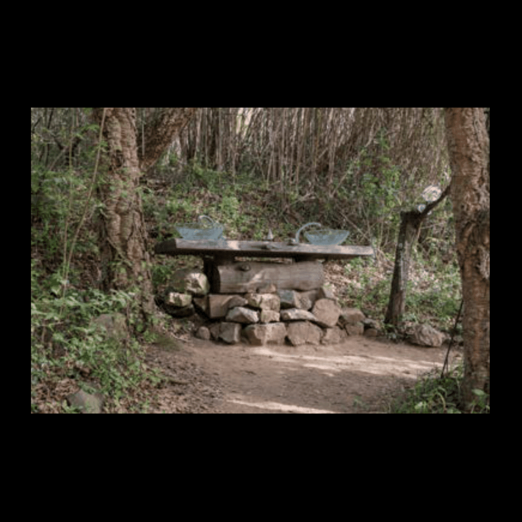 Obra de Ana Lomba de Carvalho Seixas