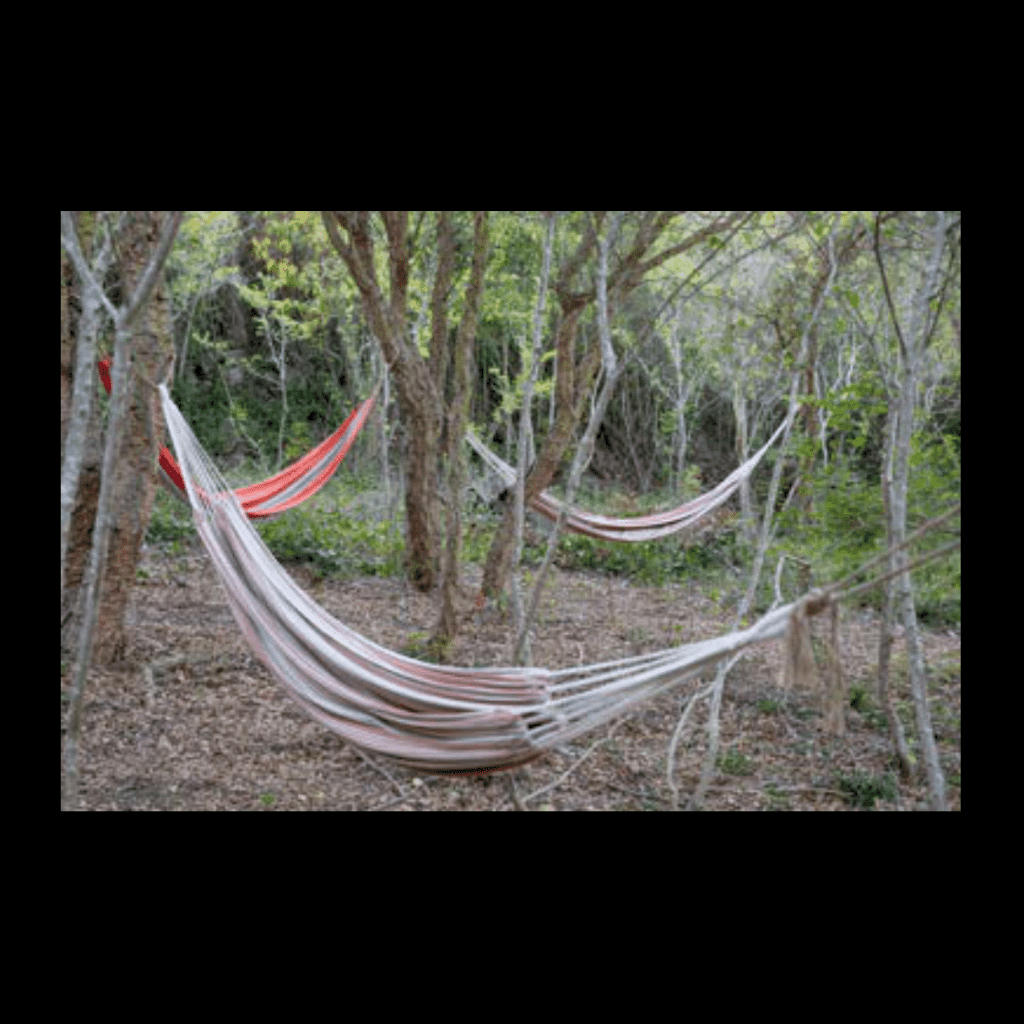 Obra de Ana Lomba de Carvalho Seixas