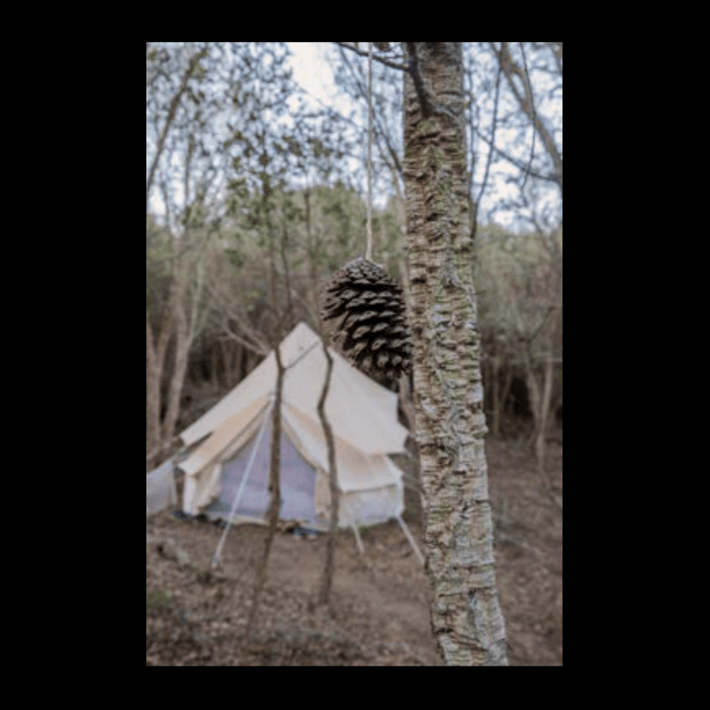 Obra de Ana Lomba de Carvalho Seixas