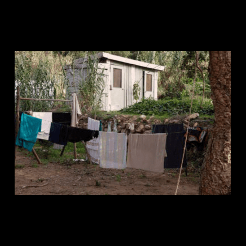 Obra de Ana Lomba de Carvalho Seixas