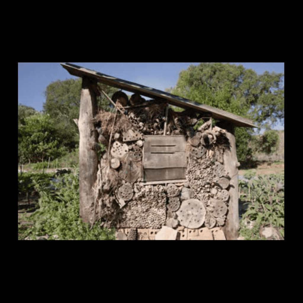 Obra de Ana Lomba de Carvalho Seixas
