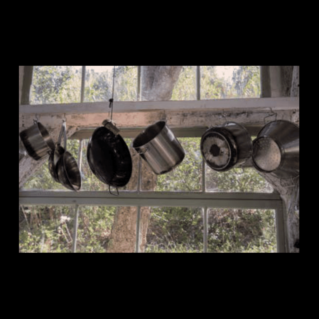 Obra de Ana Lomba de Carvalho Seixas