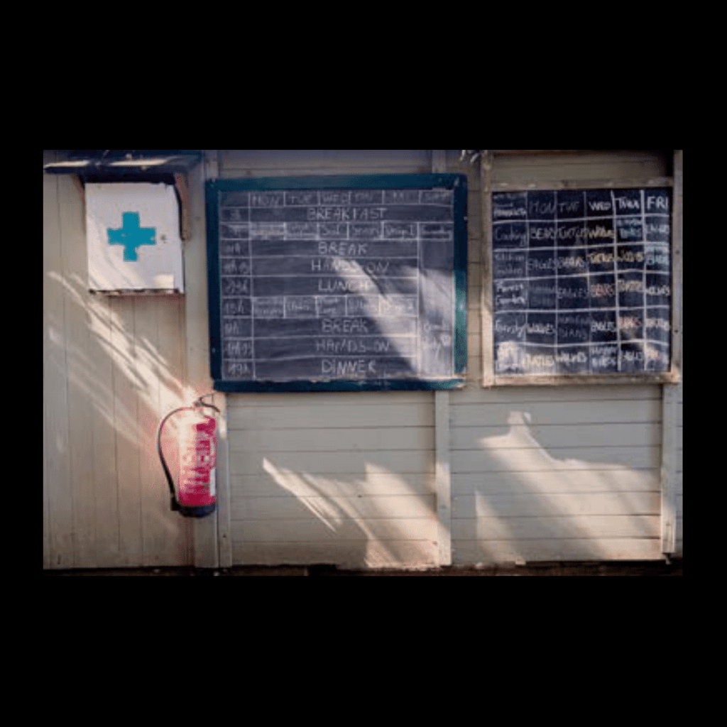 Obra de Ana Lomba de Carvalho Seixas