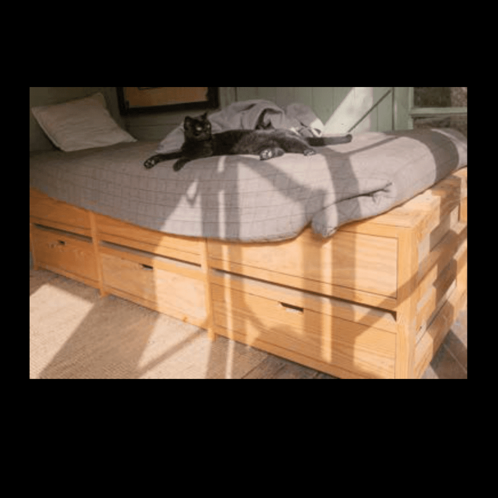 Obra de Ana Lomba de Carvalho Seixas