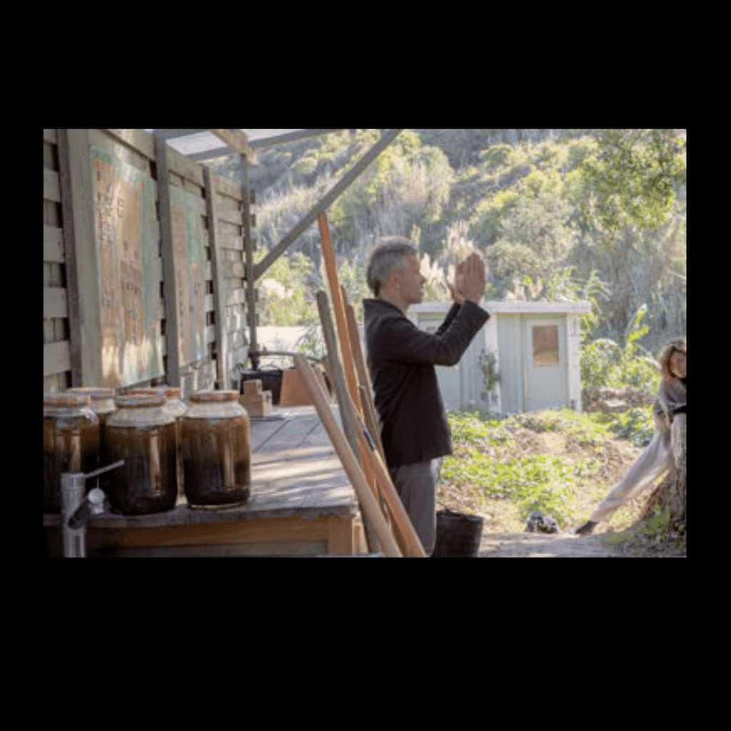 Obra de Ana Lomba de Carvalho Seixas