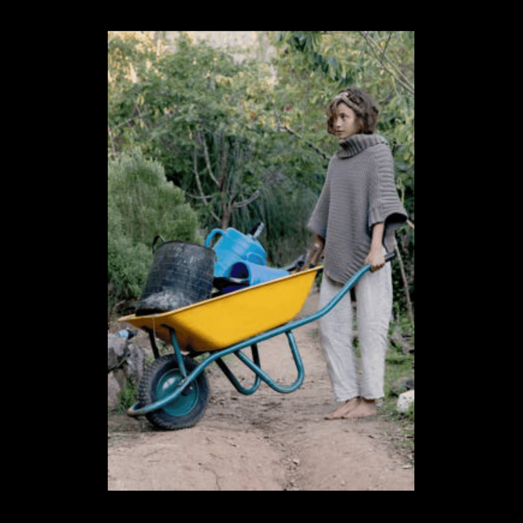 Obra de Ana Lomba de Carvalho Seixas