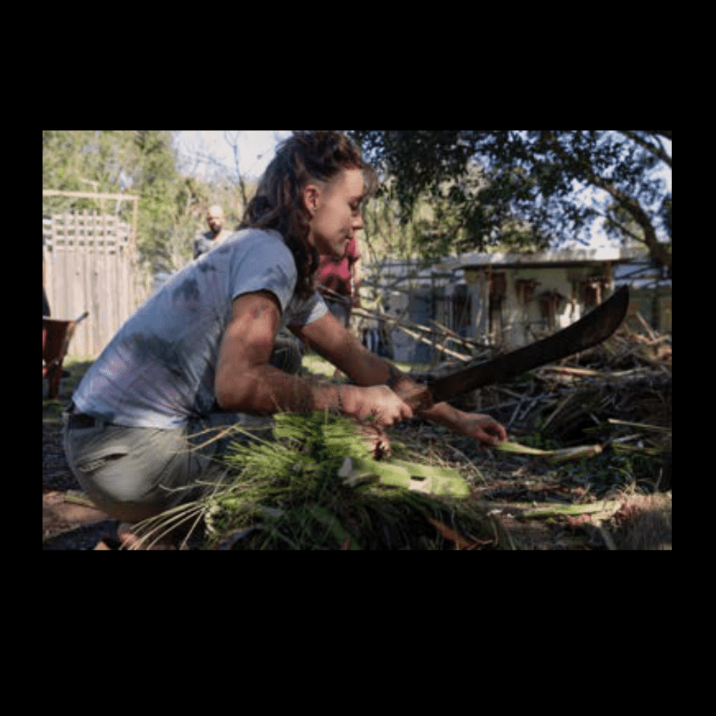 Obra de Ana Lomba de Carvalho Seixas