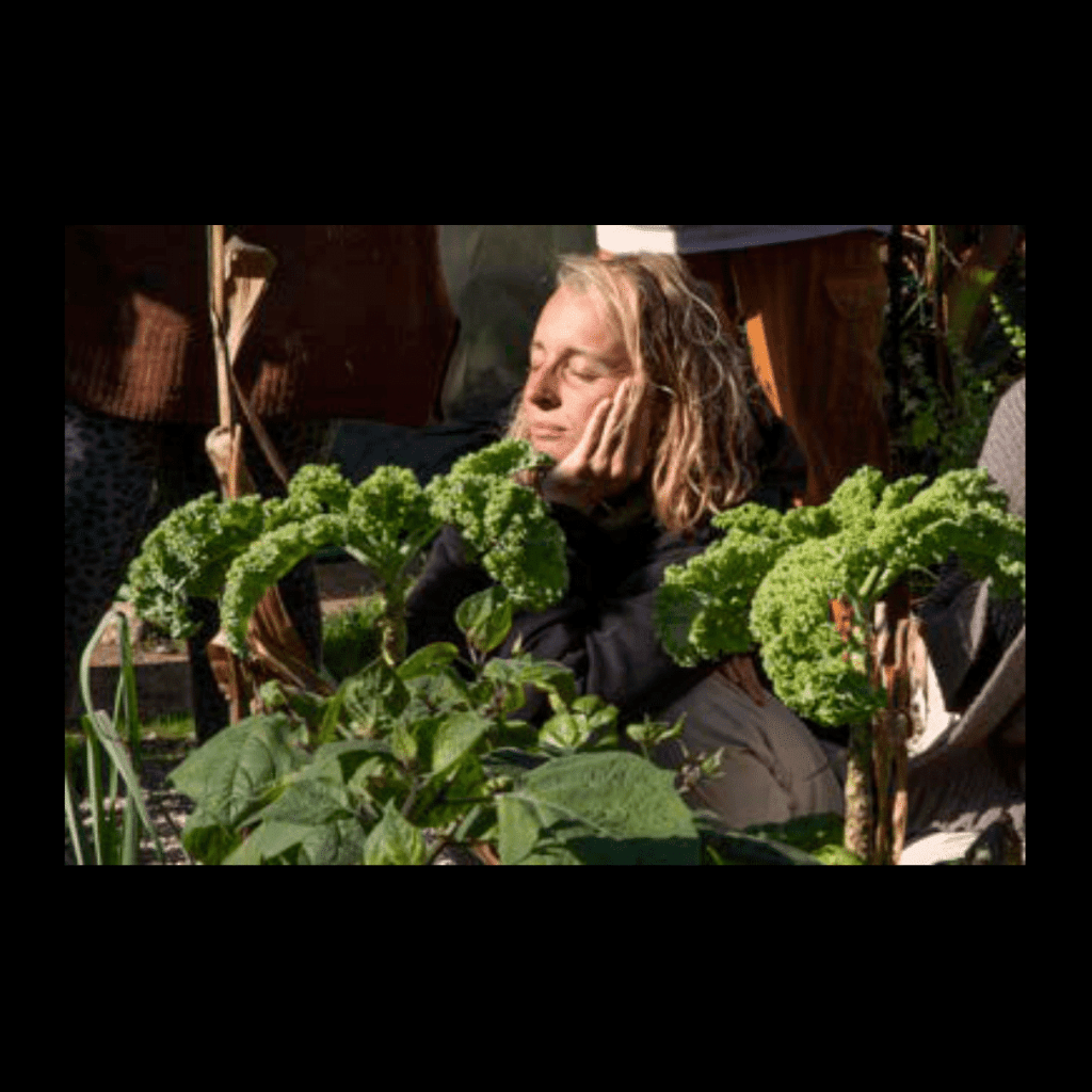 Obra de Ana Lomba de Carvalho Seixas