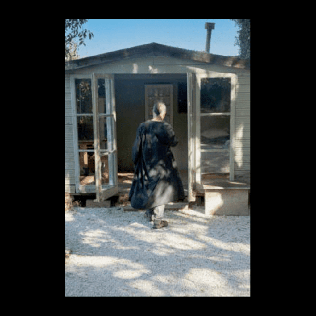 Obra de Ana Lomba de Carvalho Seixas