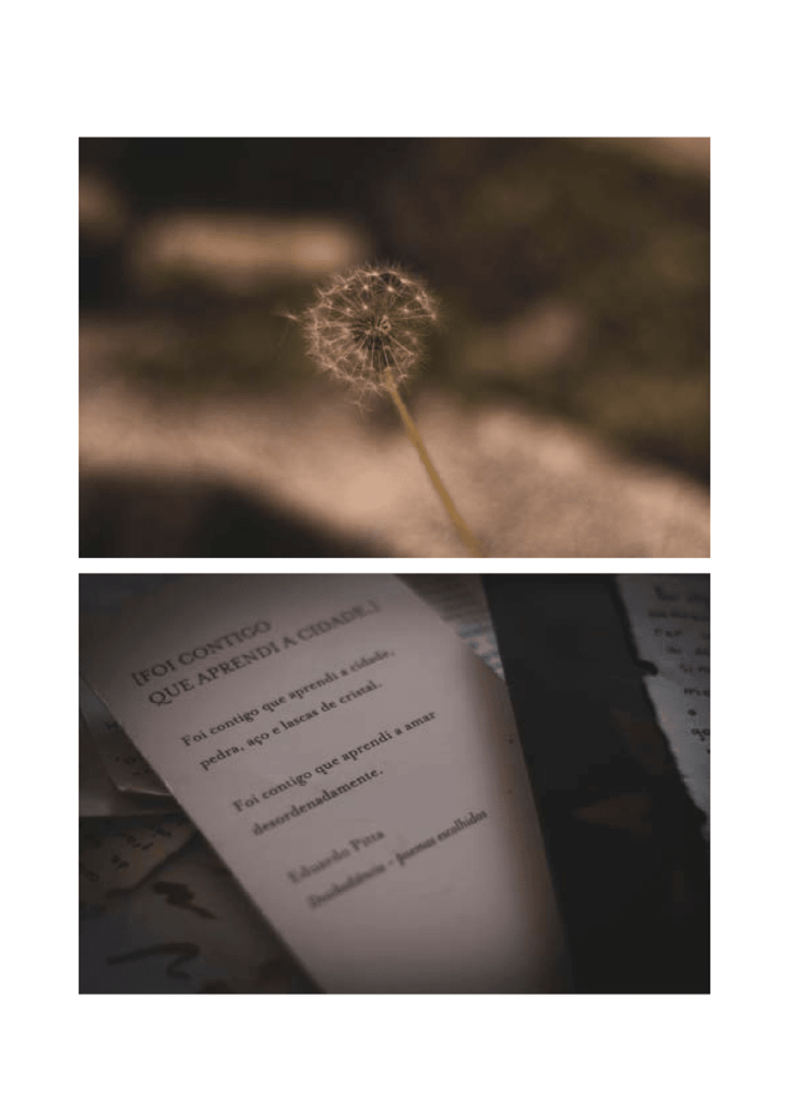 Obra de Anna Beatriz Drewanz