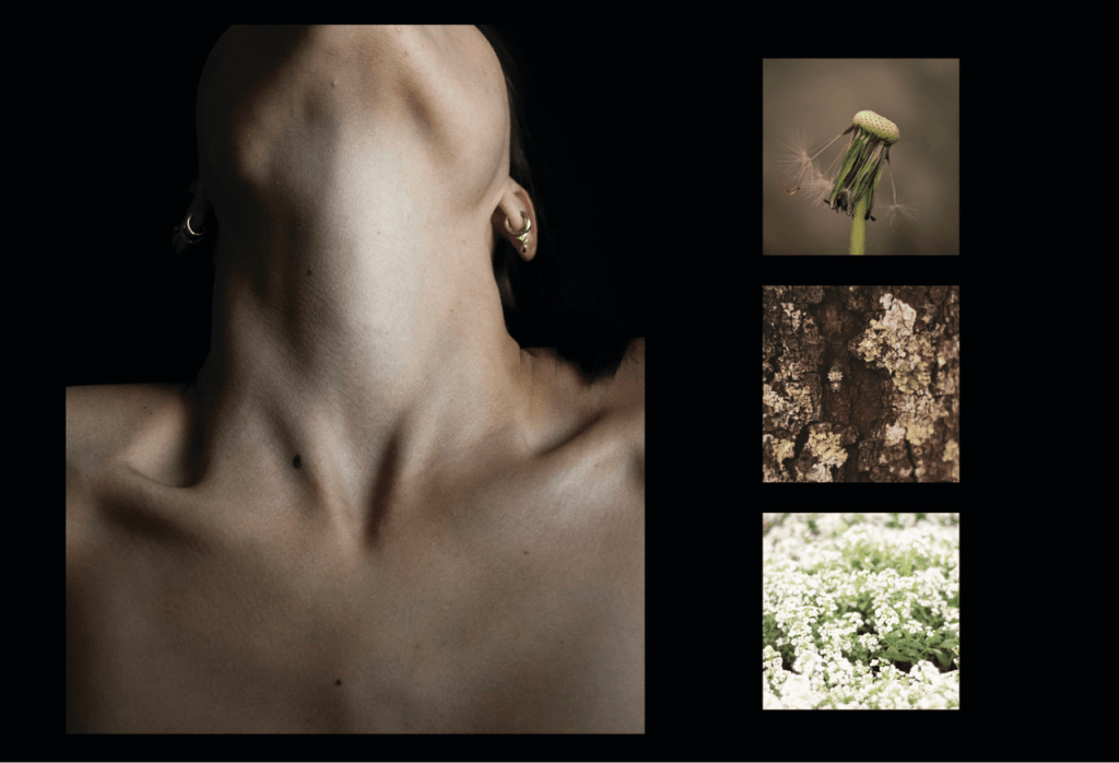 Obra de Anna Beatriz Drewanz