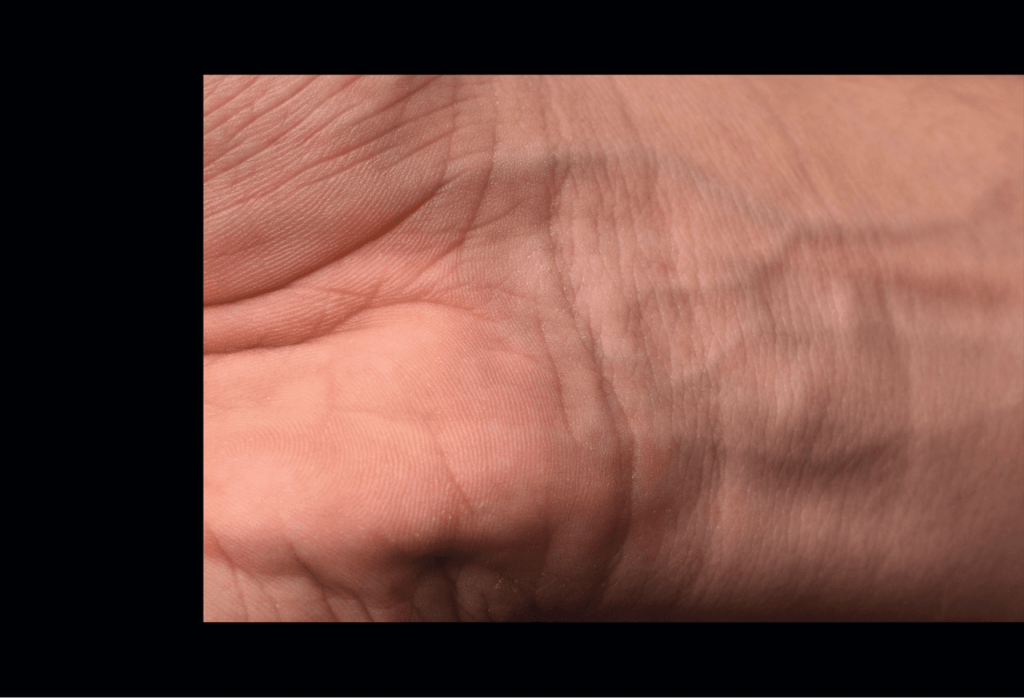 Obra de Anna Beatriz Drewanz