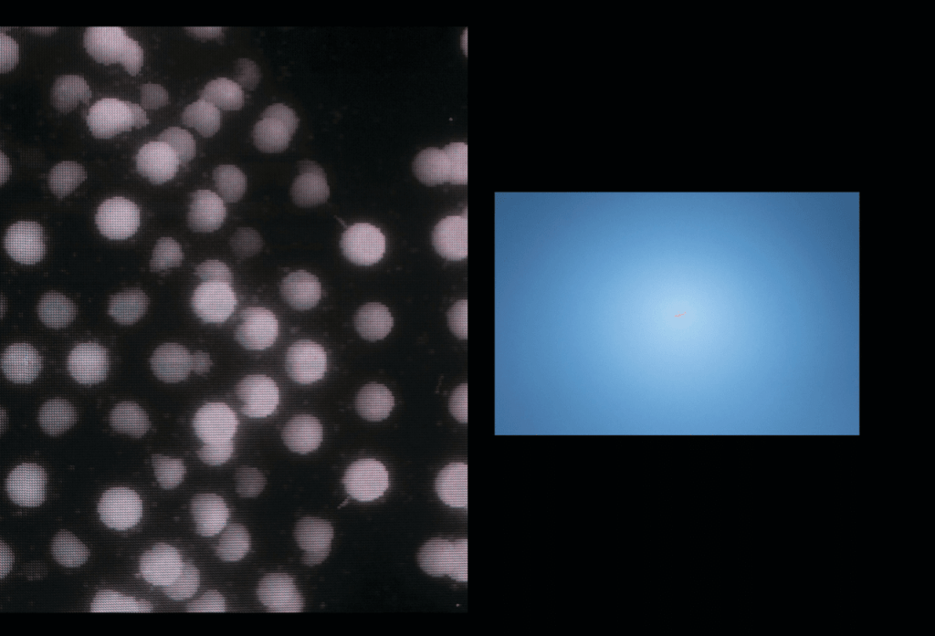 Obra de Anna Beatriz Drewanz