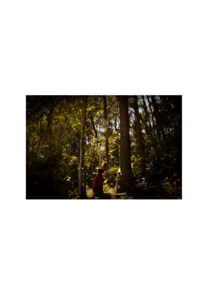 Obra de Bruna dos Santos Rosa