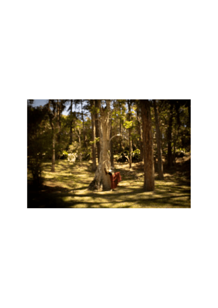 Obra de Bruna dos Santos Rosa