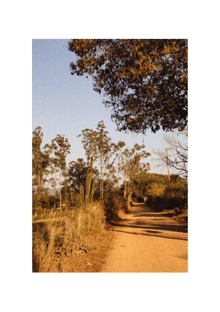 Obra de Bruna dos Santos Rosa