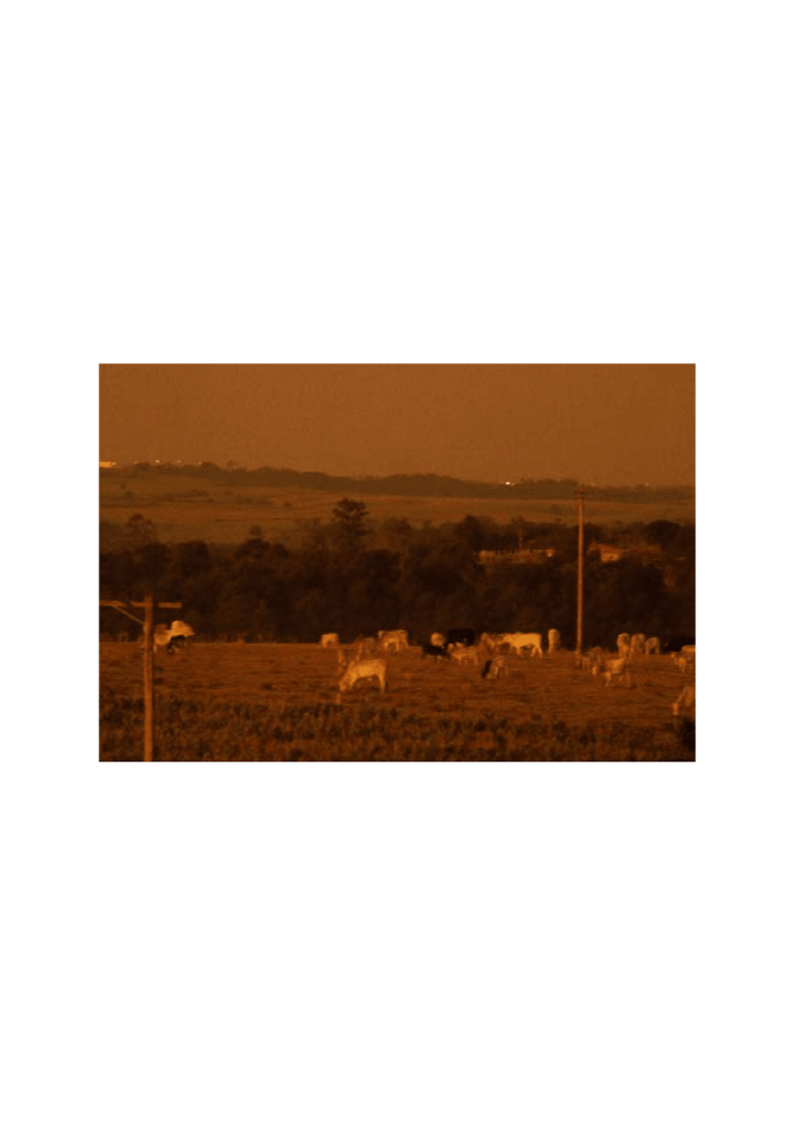 Obra de Bruna dos Santos Rosa