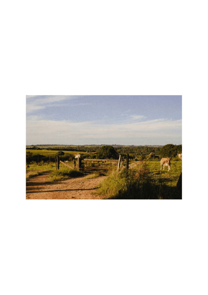 Obra de Bruna dos Santos Rosa