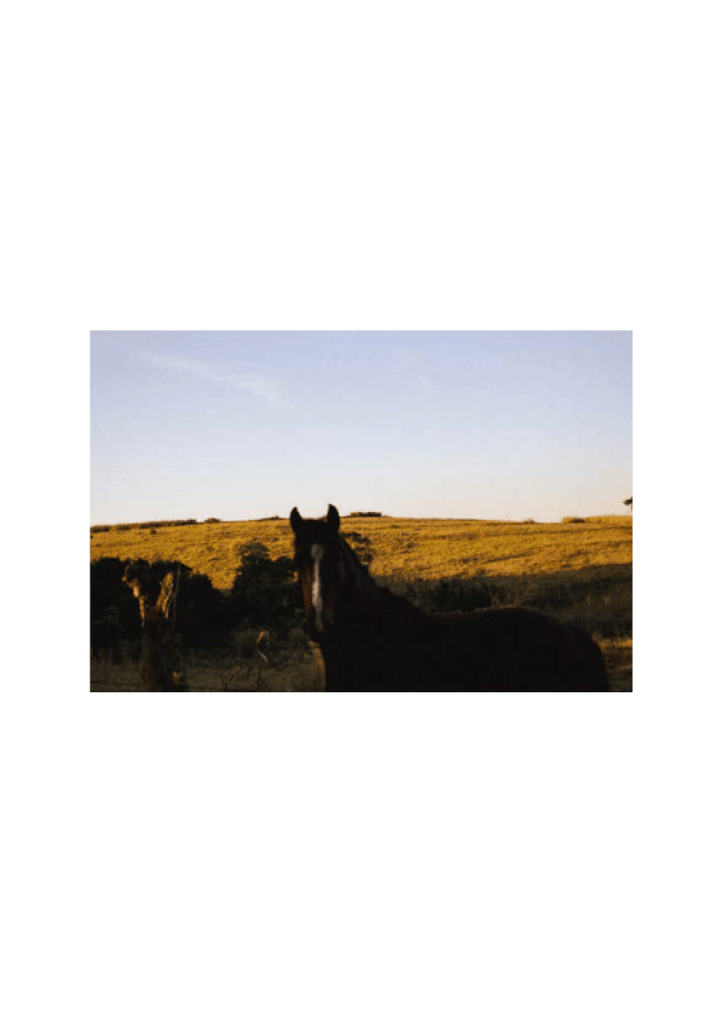 Obra de Bruna dos Santos Rosa