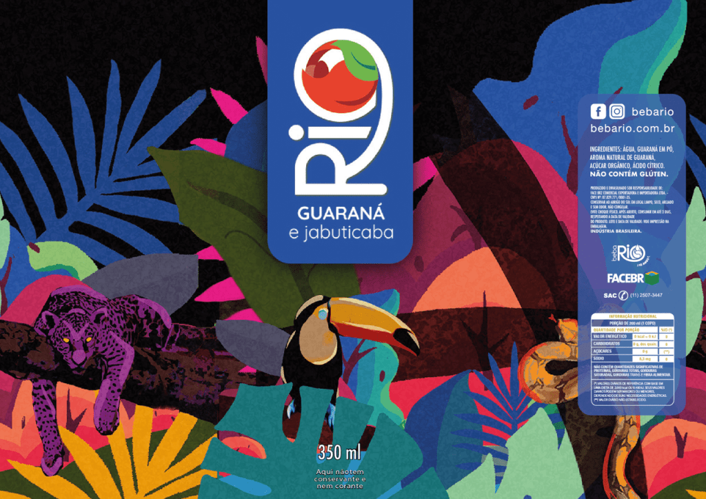 Obra de Raquel Ann Bell Rodrigues