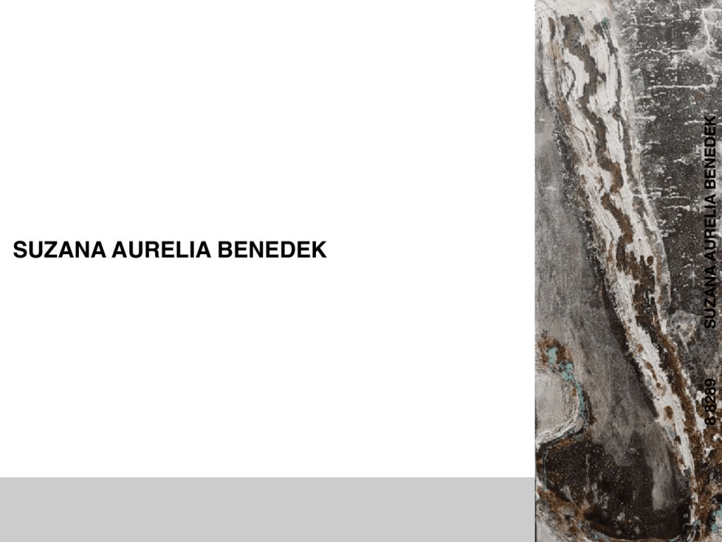 Obra de Suzana Aurelia Benedek