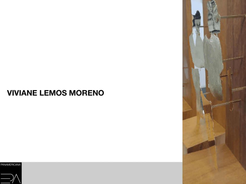 Obra de Viviane Lemos Moreno