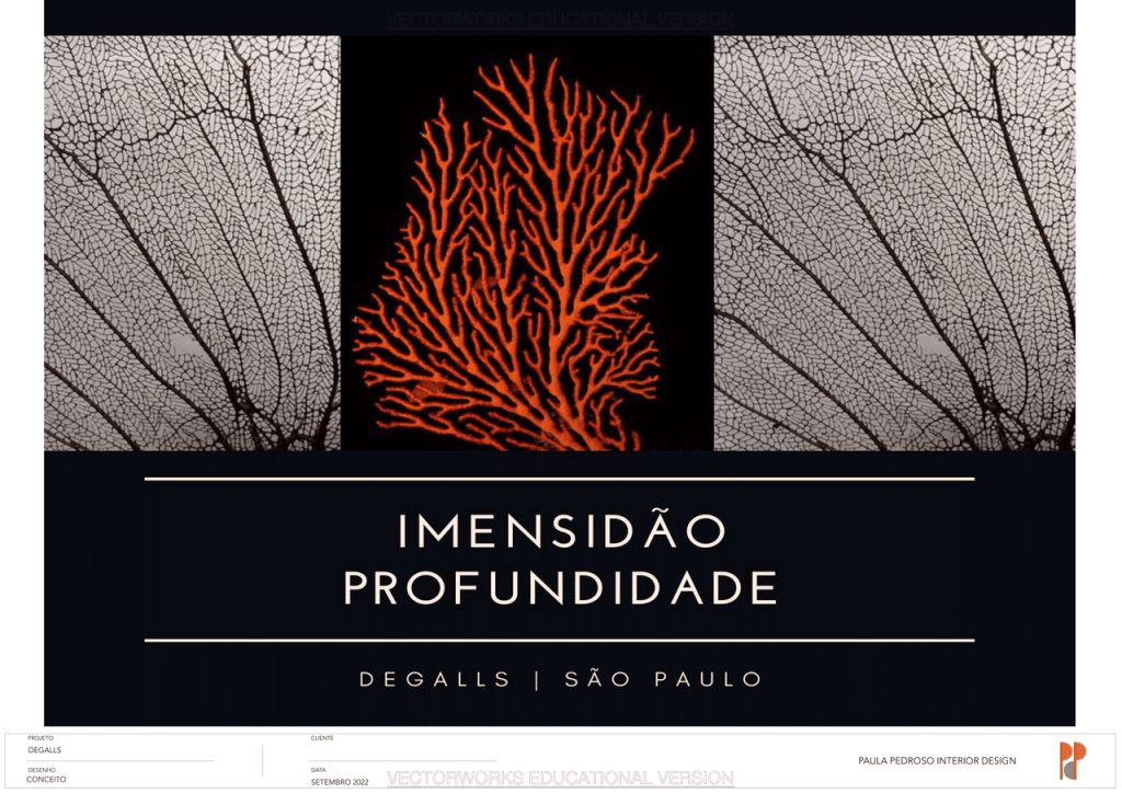 Obra de Ana Paula Pedroso