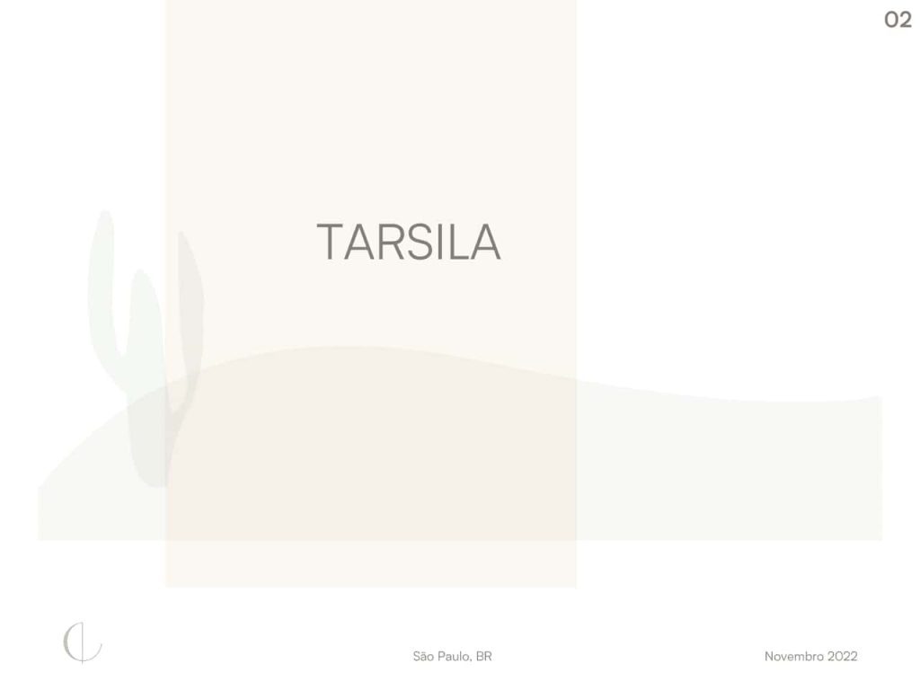 Obra de Isabela Villas Boas Martins