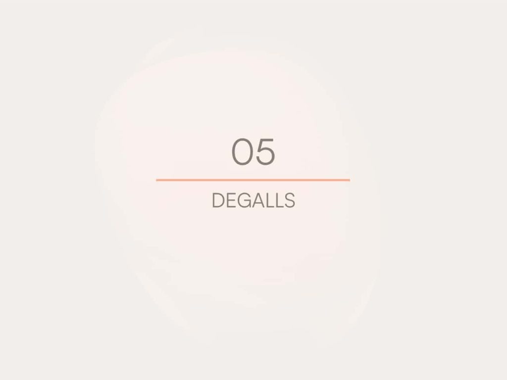 Obra de Isabela Villas Boas Martins