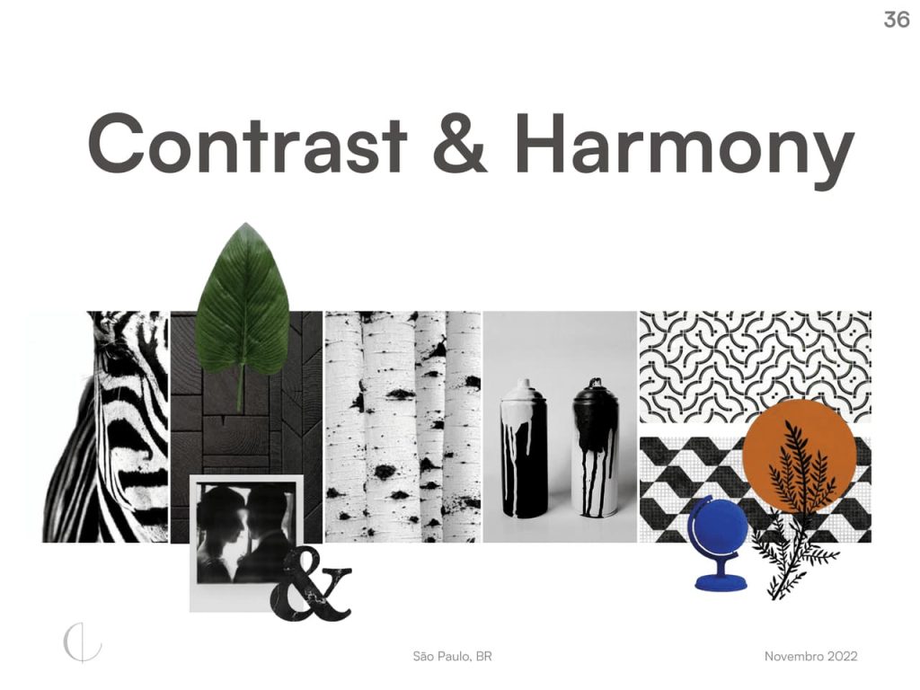 Obra de Isabela Villas Boas Martins