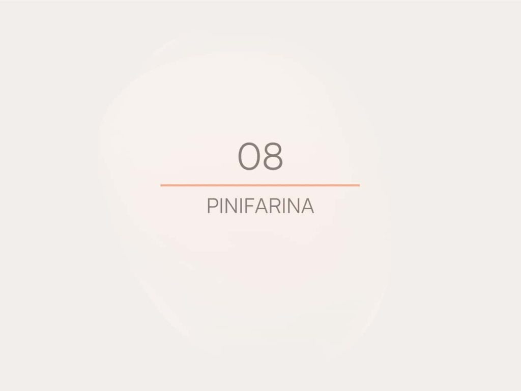 Obra de Isabela Villas Boas Martins