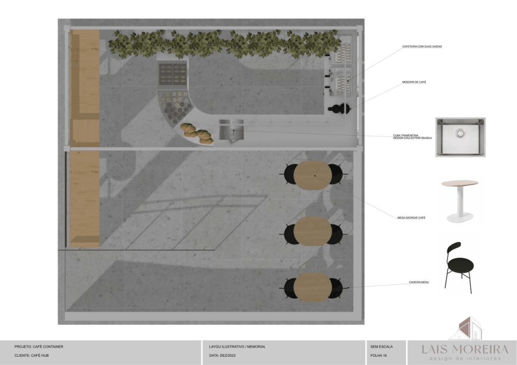 Obra de Laís Moreira Velloso Borges